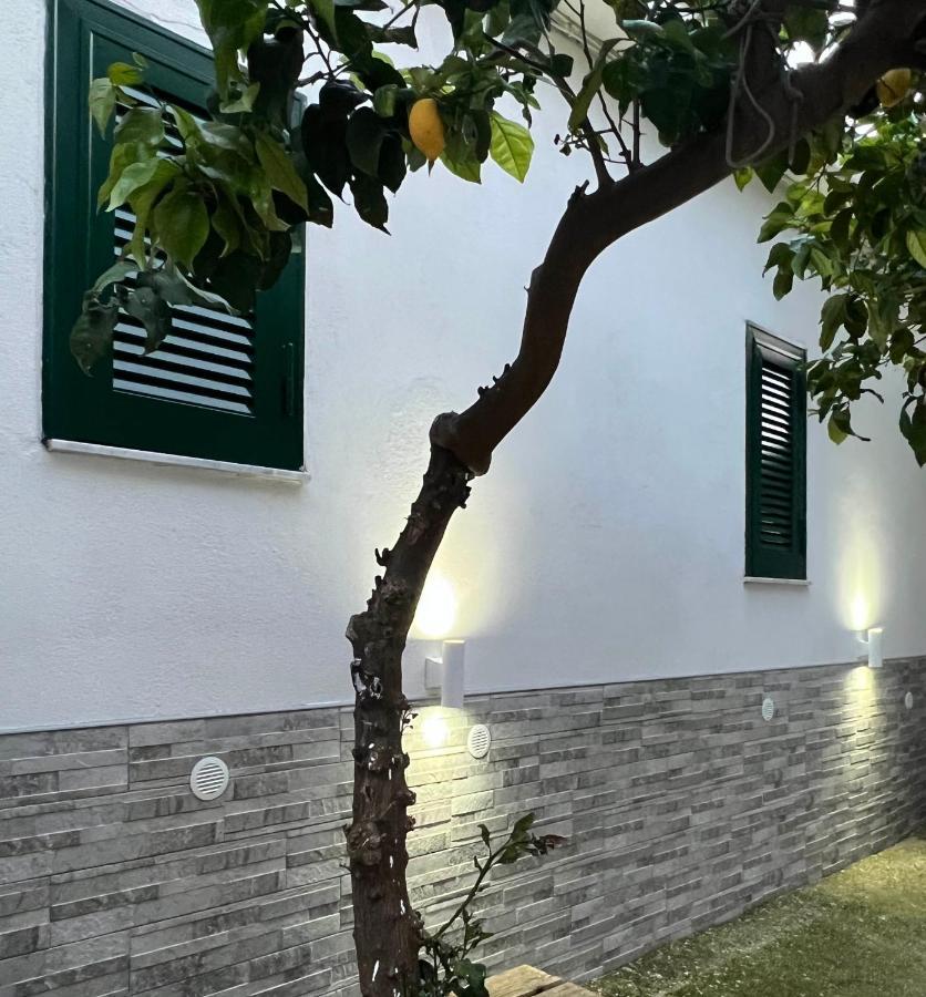 B&B Casa Vacanze Nonna Clara Наполи Екстериор снимка